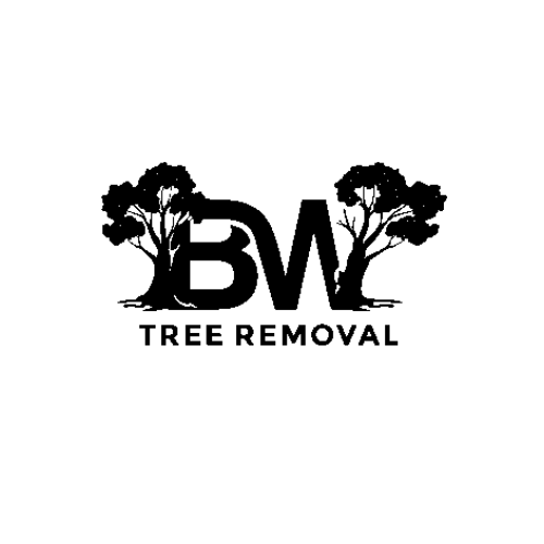 Logo 500px.png