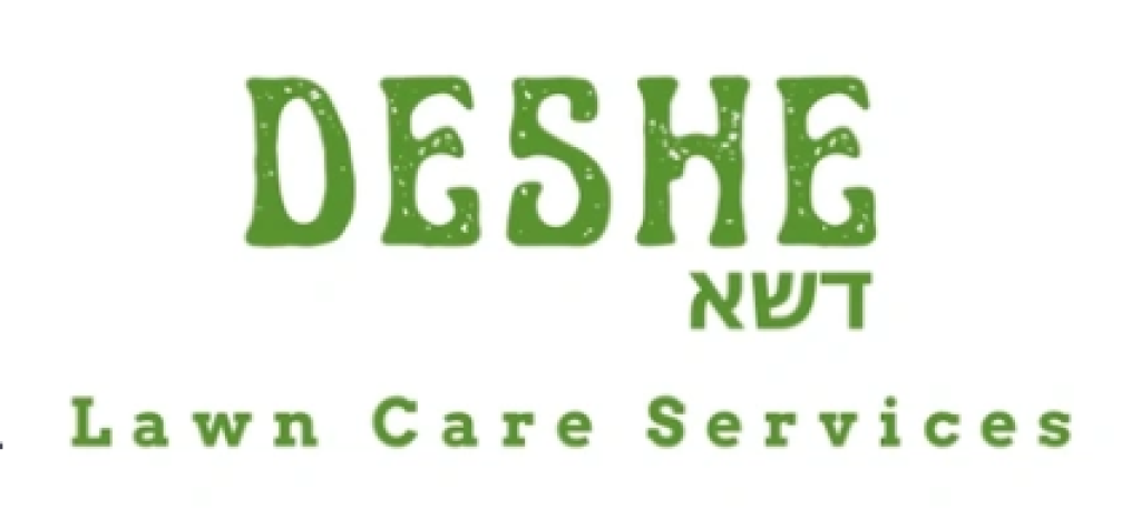 logo.png
