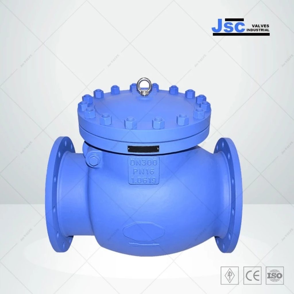 din-3356-swing-check-valve-1-0619-dn300-pn16-bb-rf_w6Zh1m-750x750.webp.jpg
