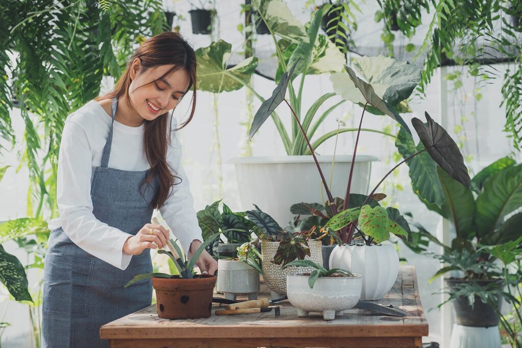 imgi_61_home-gardening-love-of-plants-and-care-small-bus-2022-02-03-02-10-10-utc.jpg