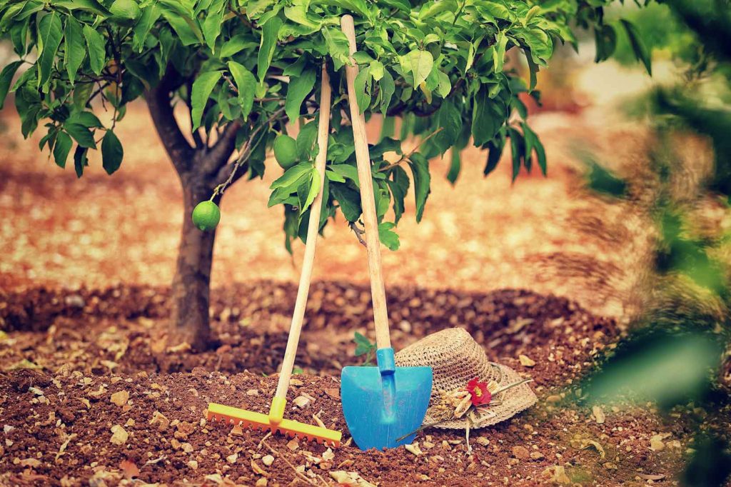 landscapers in Central FL - Highland Grove Landscaping & Farm.jpg