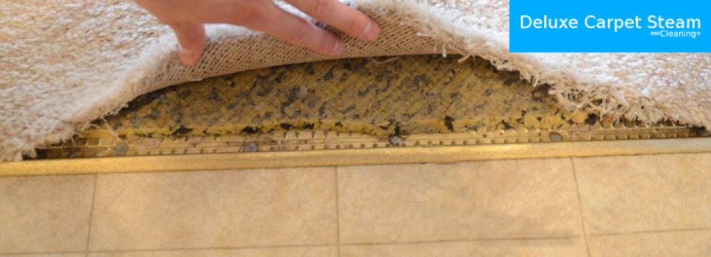 Carpet-Molds-Repair-Brisbane-3.jpg