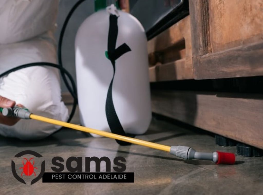 Sams Flea Control Adelaide (4).jpg