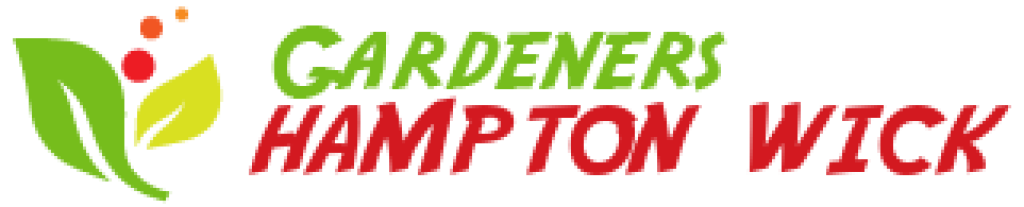 logo.png