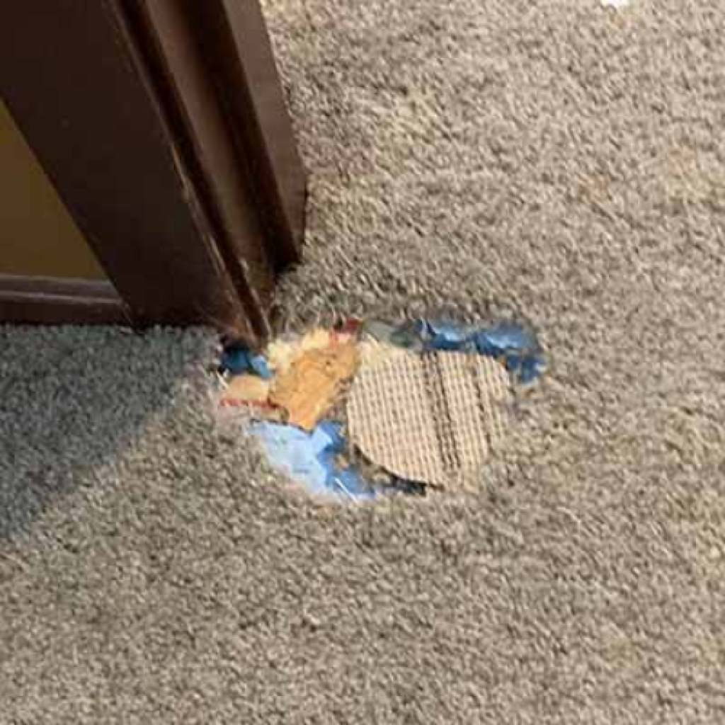 carpet repair (1).png