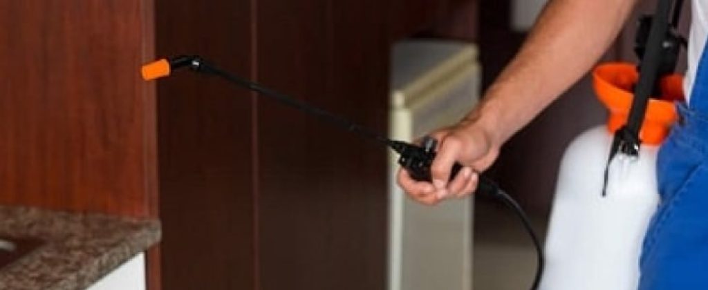 end-of-lease-pest-control-.jpg