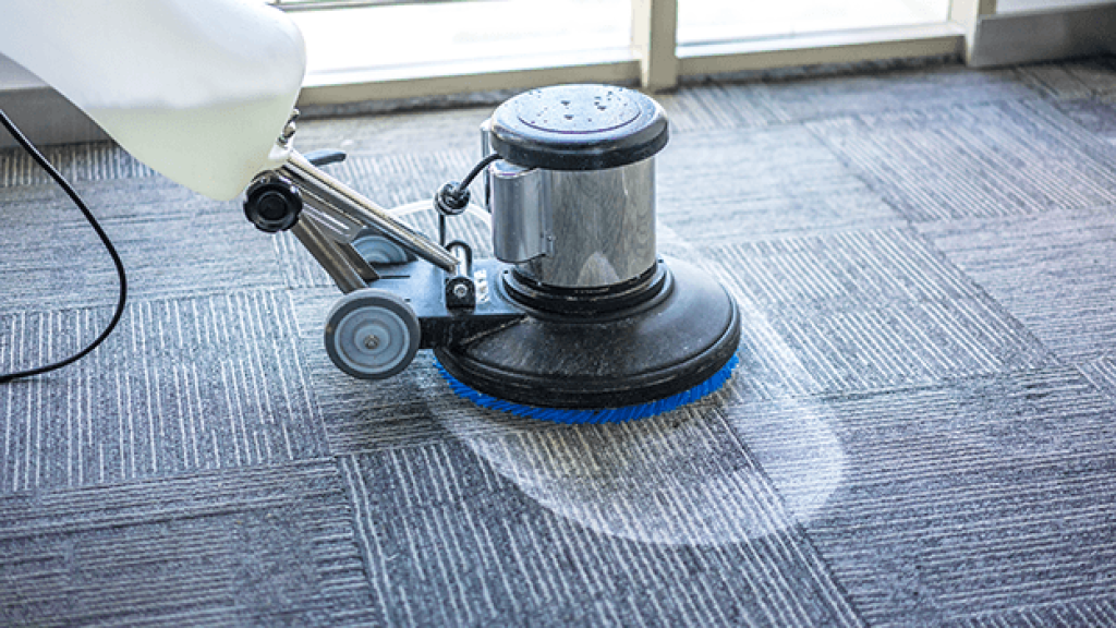 Carpet Cleaning Dandenong.png