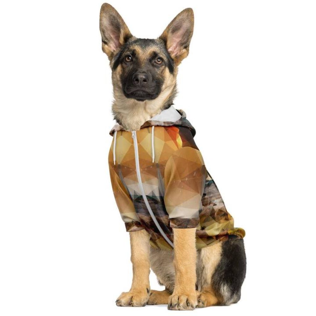 dog hoodies.jpg