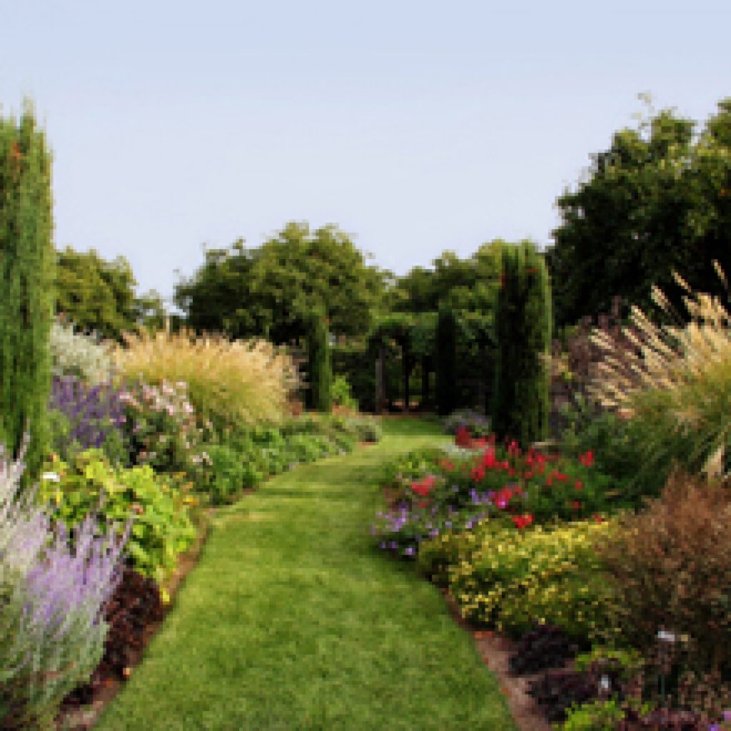 Landscaping4.jpeg