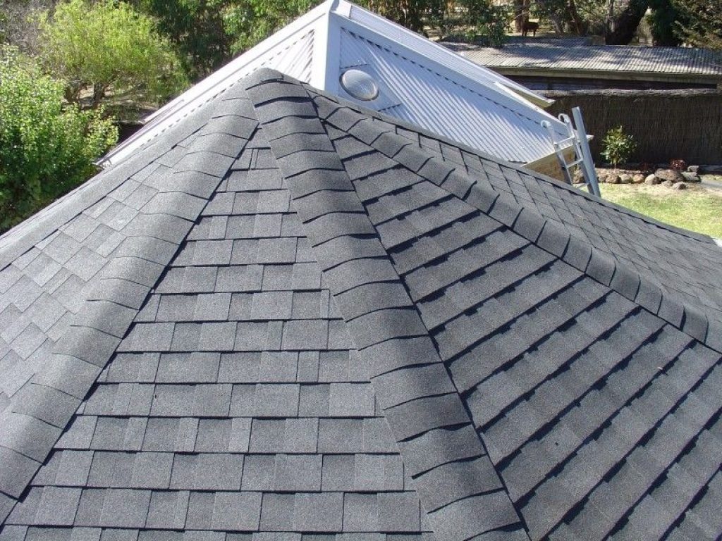asphalt shinglr roof.jpg