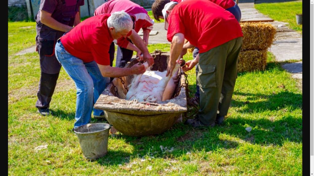 Dead Animal Removal