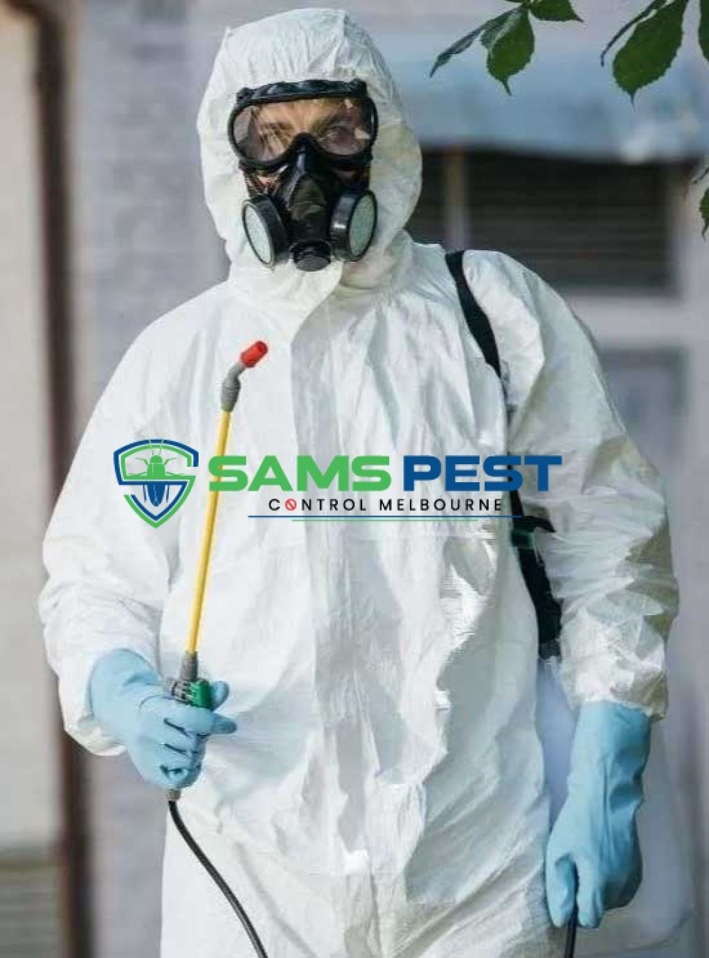Sams Wasp Control Melbourne (4).jpg
