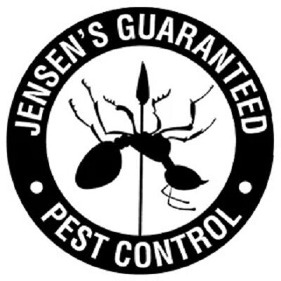 Jensen-Pest400.jpg