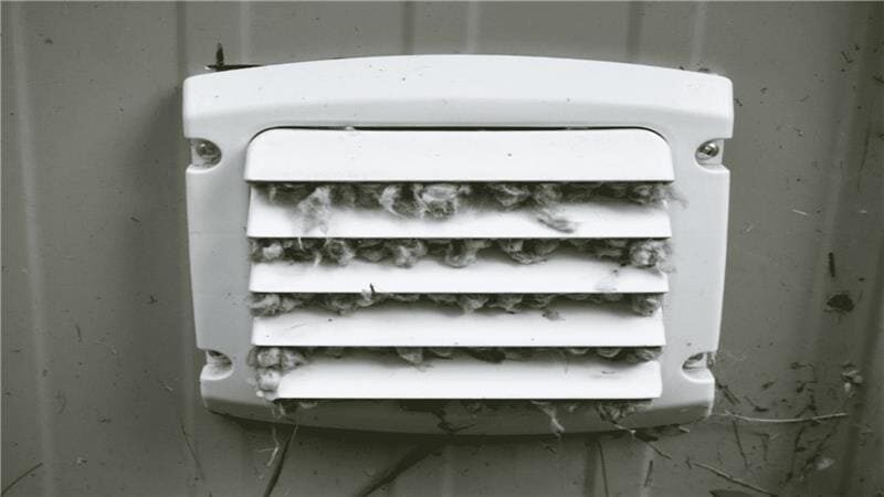 image (1).jpg