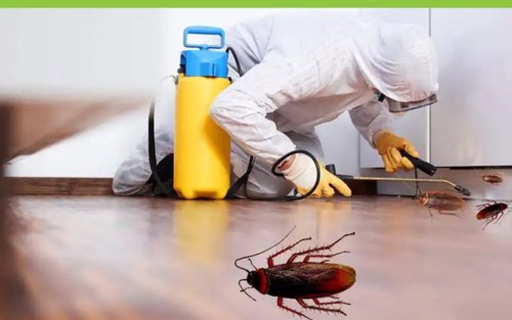 cockroaches-pest-control-services-500x500.jpg