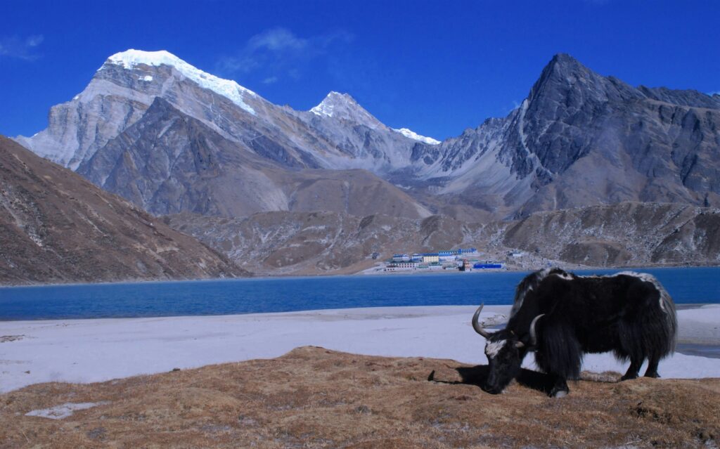 Gokyo lake Trek 3.jpg
