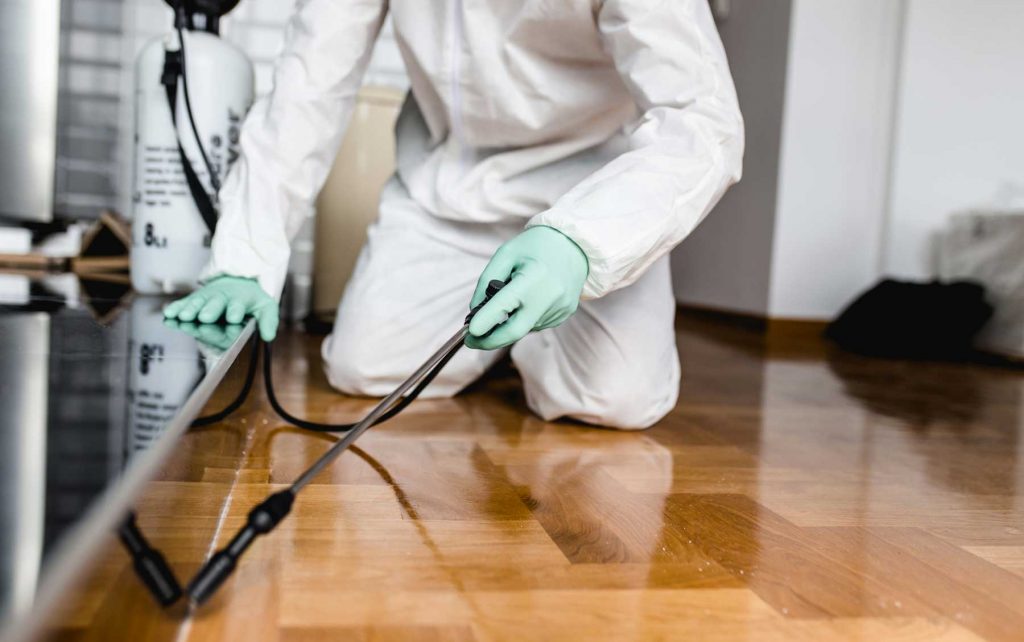 average-pest-control-cost-1.jpg