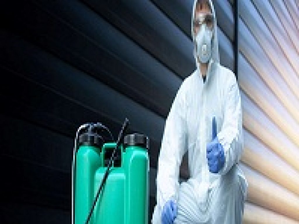 Termite Control Adelaide.jpg