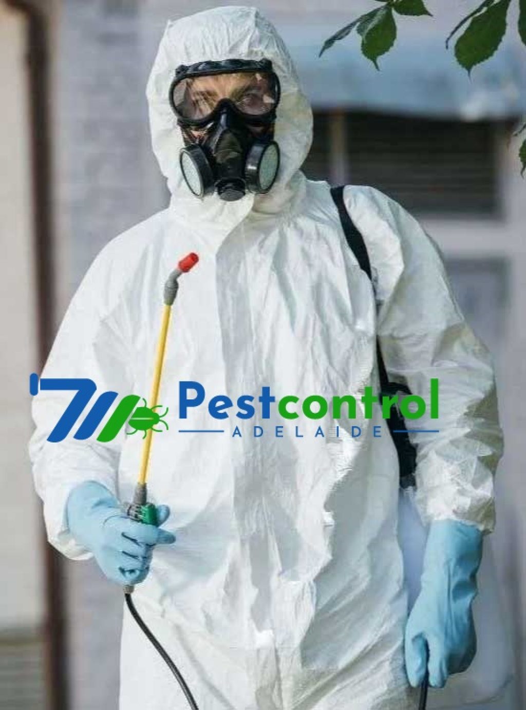 Ant Control Service Adelaide (5).jpg