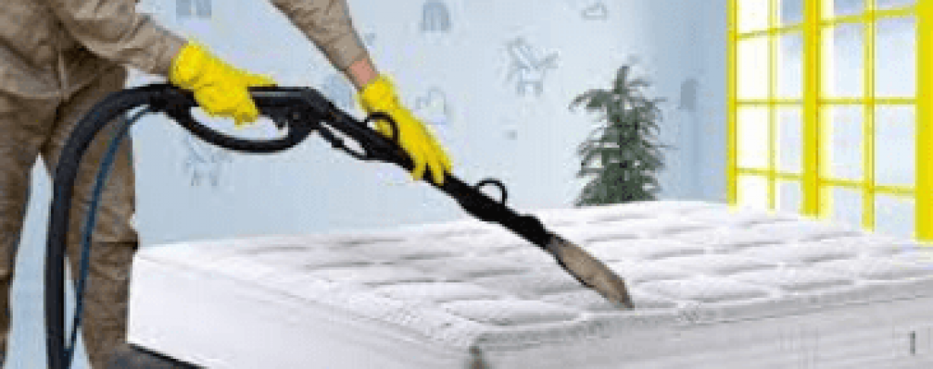 4bae484212de3c18c2669dbbb244c735.Mould-Treatment-of-Mattress-Brisbane.png