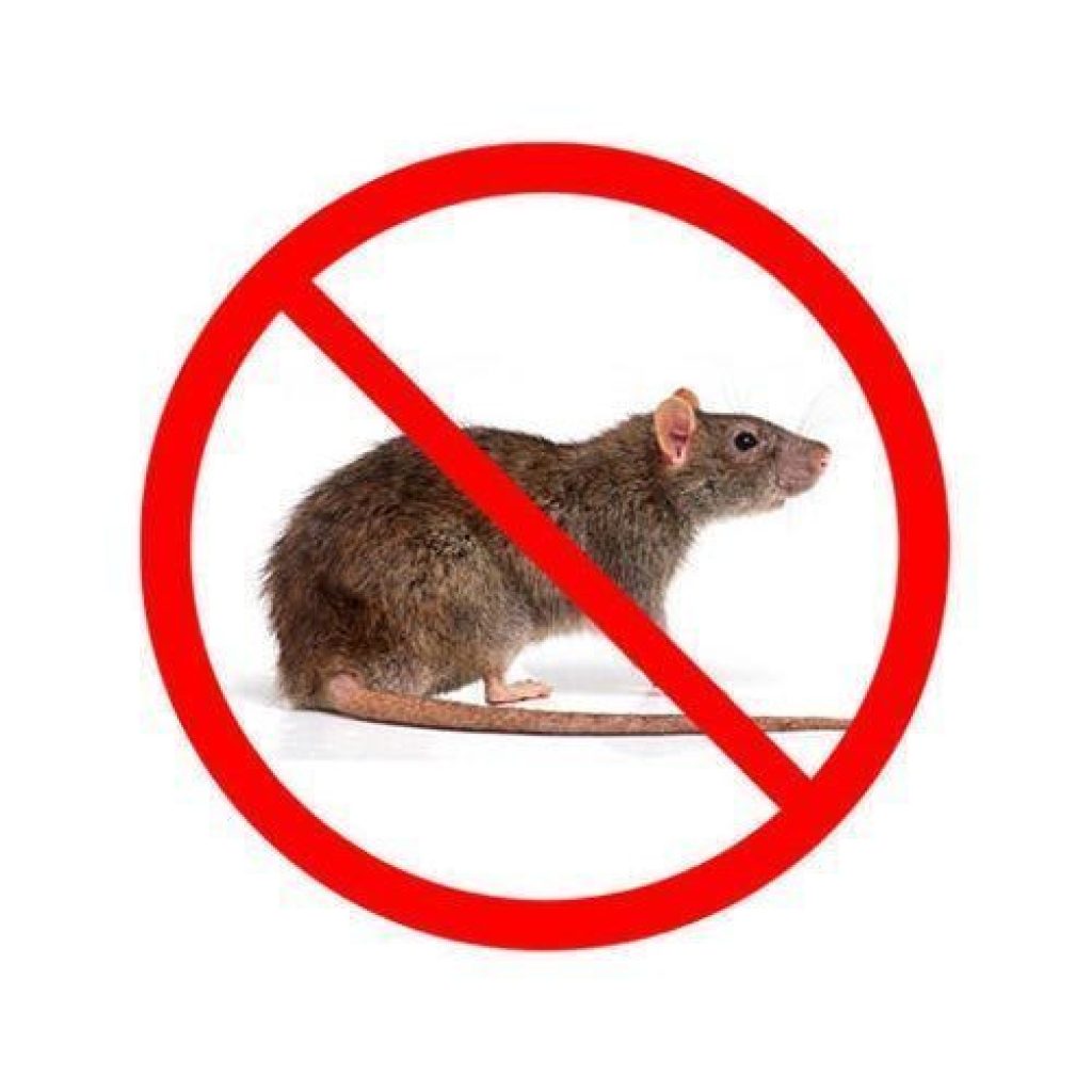 mice-control-service-500x500.jpg