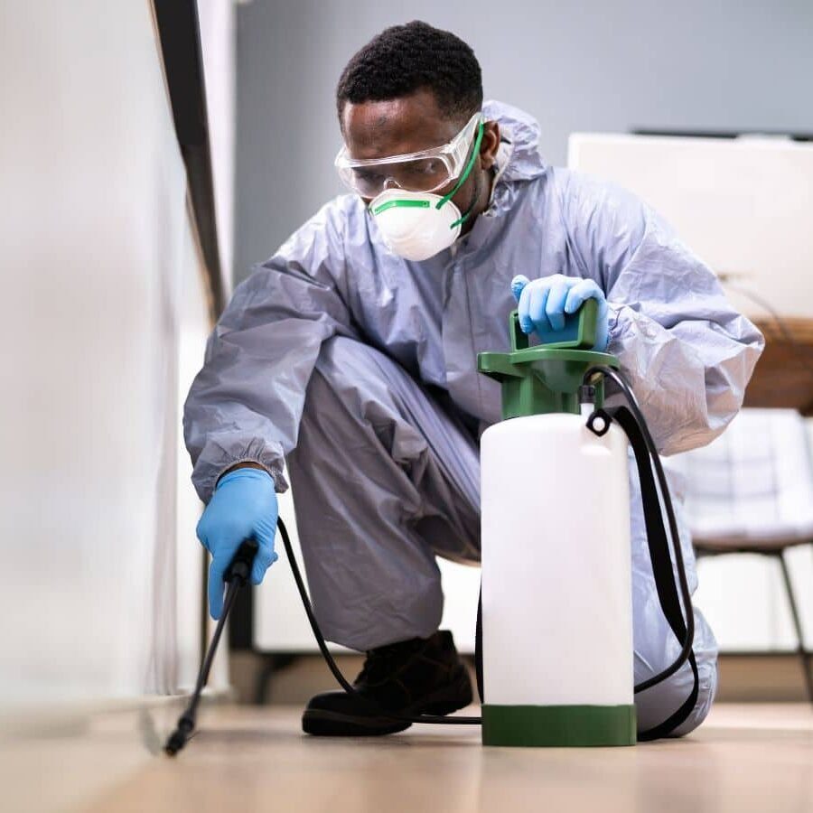 imgi_6_Benefits-of-Choosing-CURA-Termite-and-Pest-Control-in-Huntington-Beach-CA-square-58e95c14afb496161cf50e83458791be-lcdp6rex1kbs.jpeg