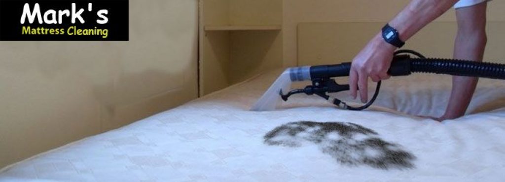 4f7c33a0802b4a179976c744cf9ca083.Mattress-Mould-Removal-Brisbane.jpg