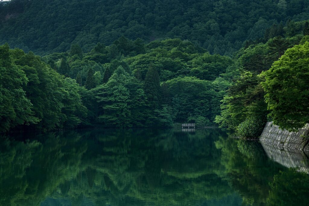lake-8844310_1280.jpg