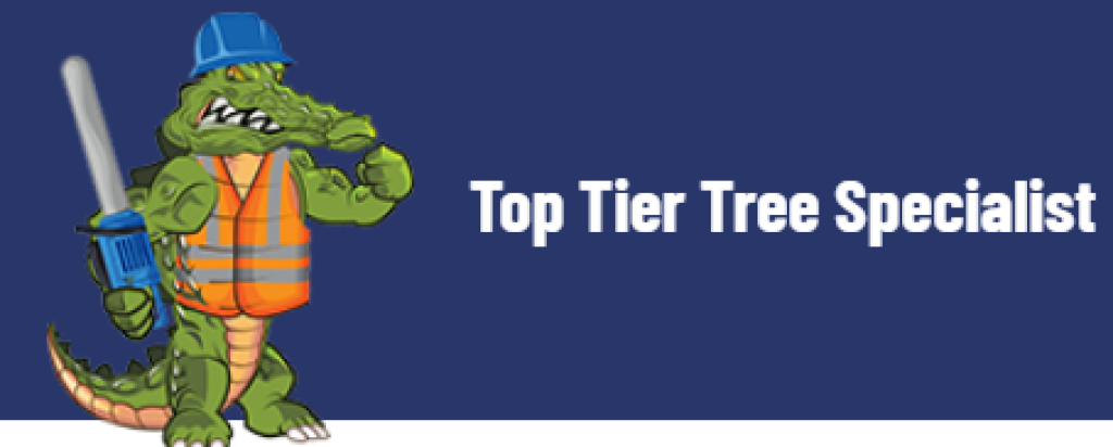 Screenshot 2024-08-21 151143.png