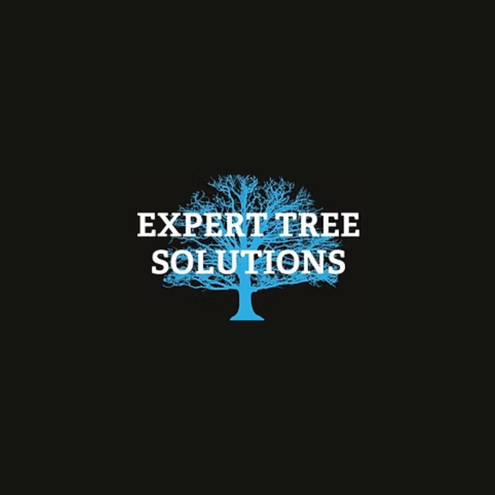 Expert Tree Solutions Logo.jpg