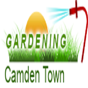 logo.png