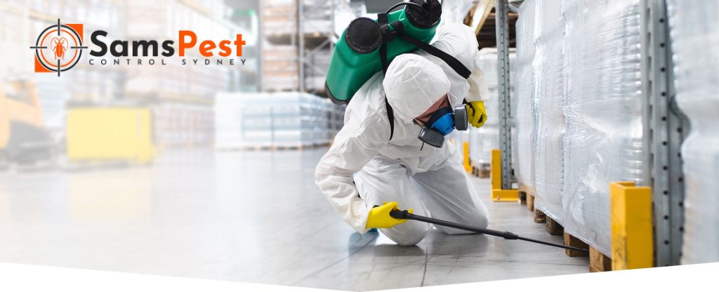 Sams Pest Control Sydney (3).jpg