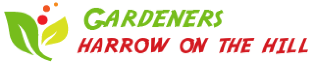 logo (2).png