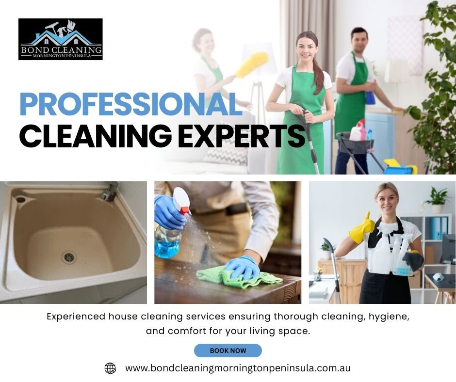 Professional Cleaning Experts