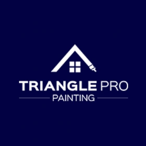 triangle Pro painting logo.jpg
