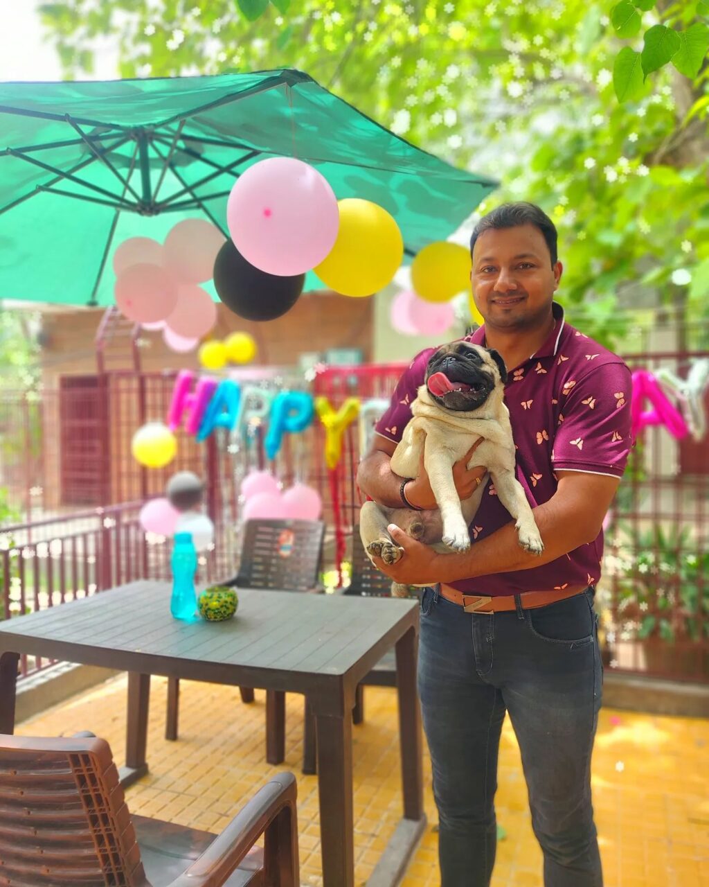 dog boarding in gurgaon (10).jpg