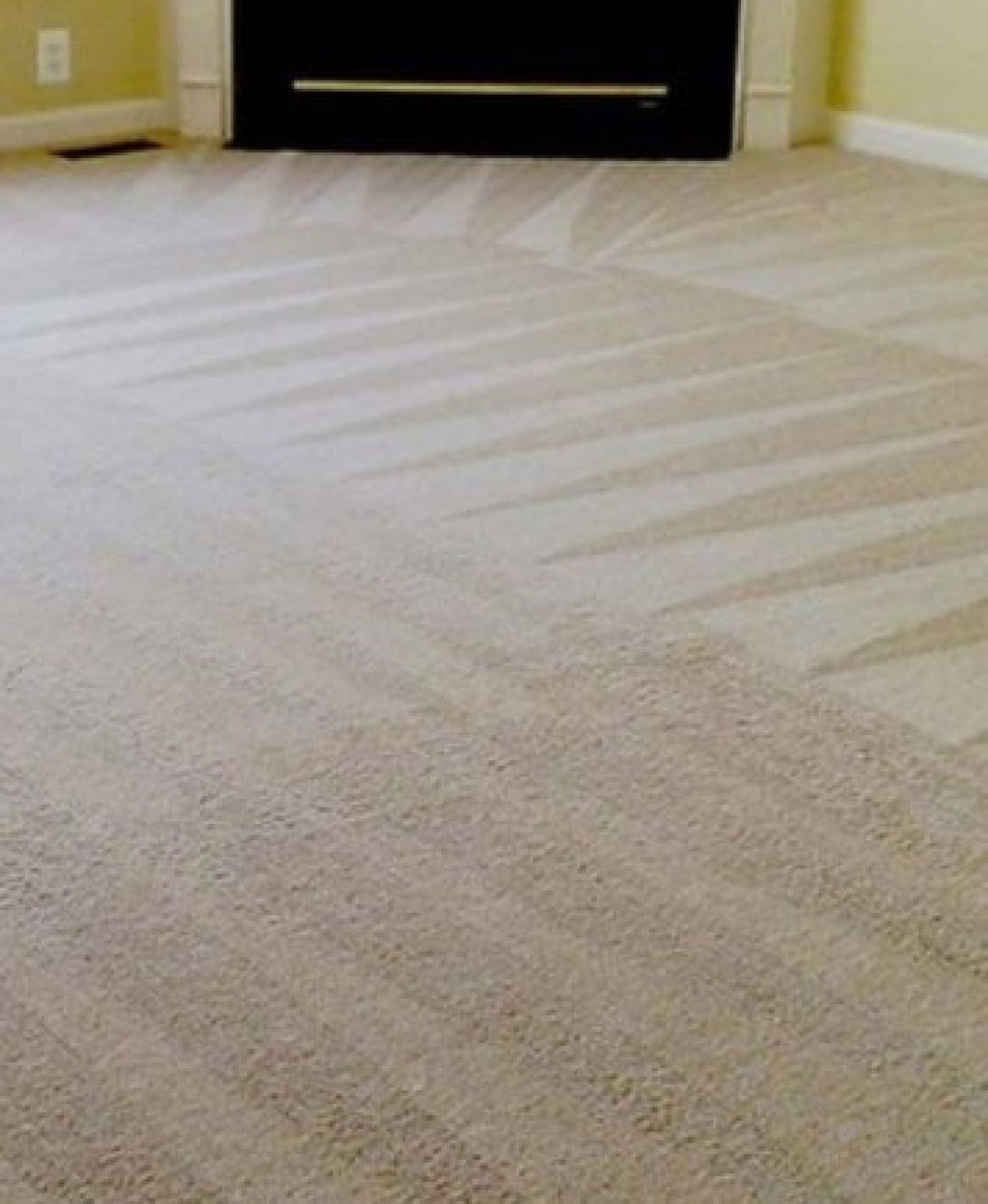 expert-carpet-cleaning-brisbane.jpg