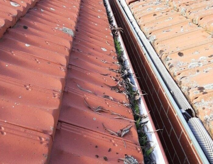 Gutter Replacement Melbourne.jpg