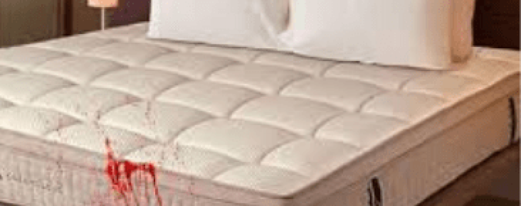129da647a069f93d1aa7d683dbd01b8e.Mattress-Bloodstain-Brisbane.png