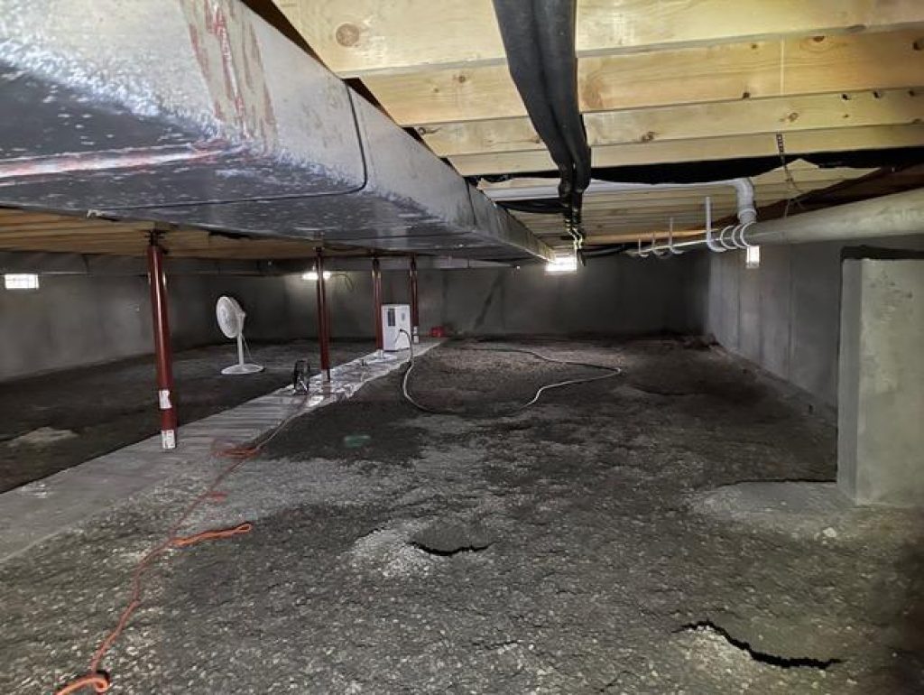 crawl space rep.jpeg