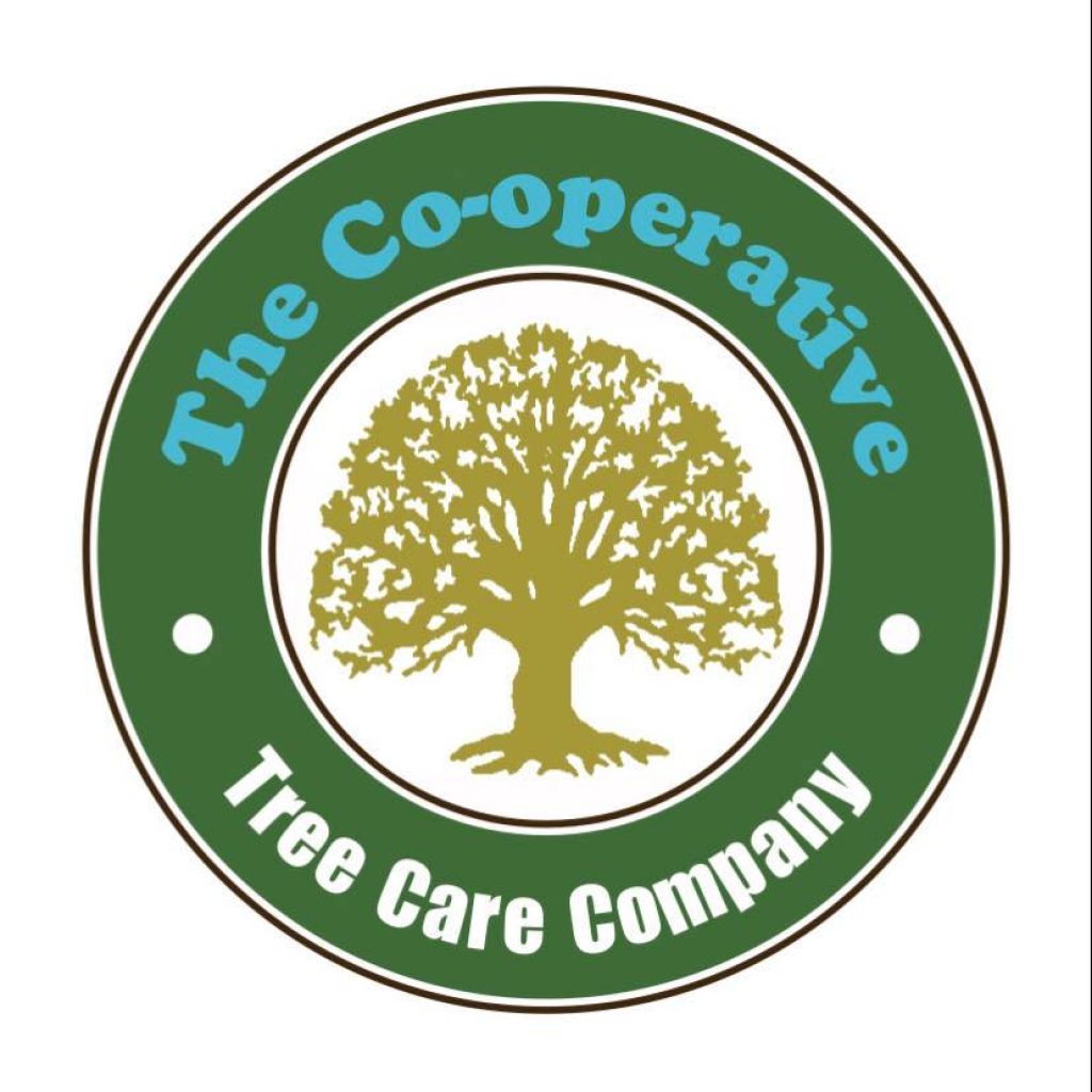 logo.jpg