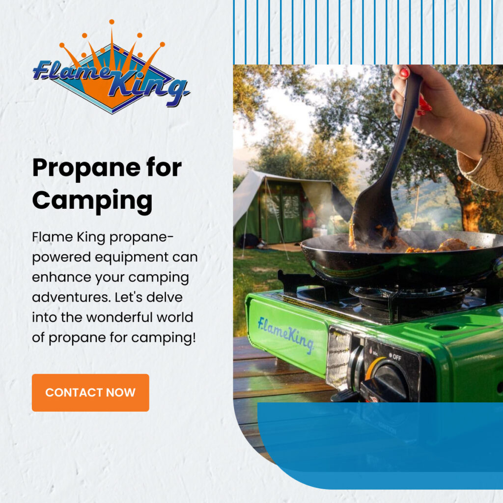 Flame King Products - Graphic 600x600 (7).jpg