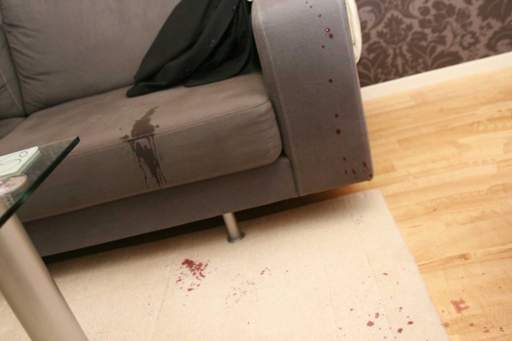couch Stain Removal.jpg