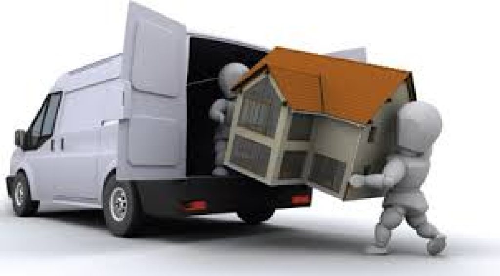 removal 4.jpg