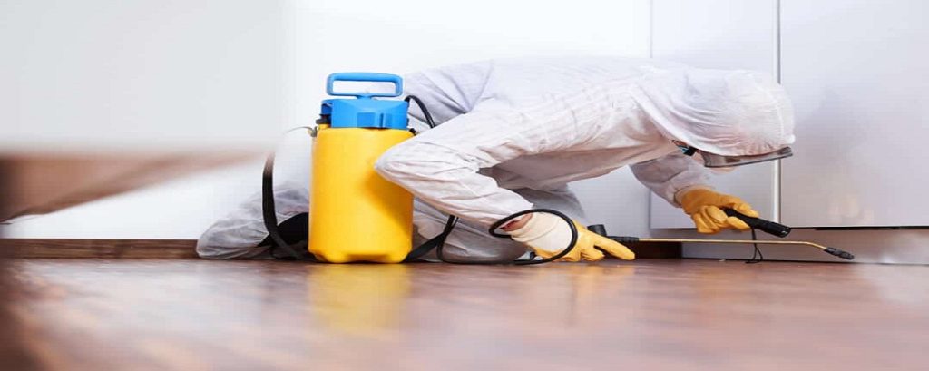 Pest Control Adelaide.jpg