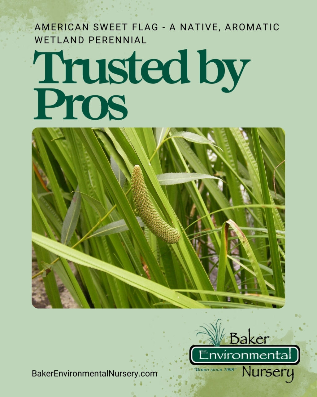 Baker Environmental Nursery 1.jpg