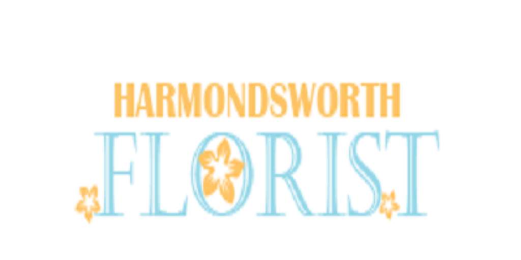 logo.png