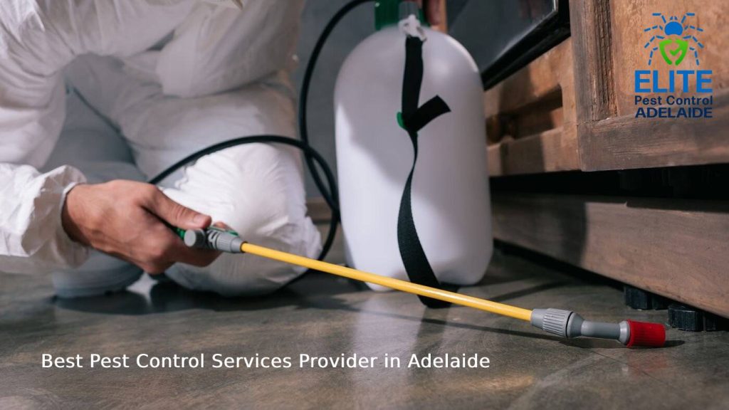 Benefiting From Organic Pest Control in Adelaide.jpg
