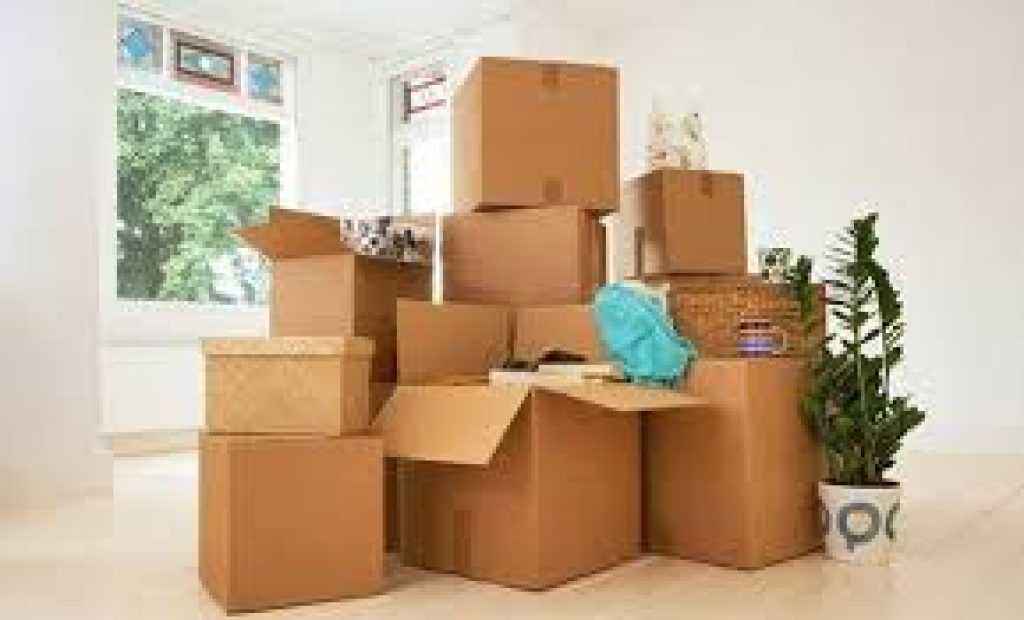 removal 1.jpg