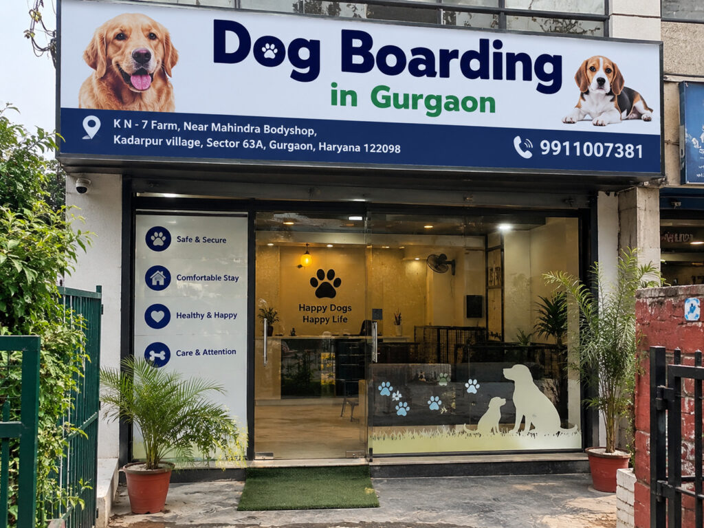 dog boarding in gurgaon.jpg